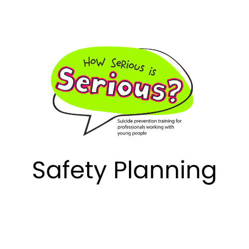 Safety Planning Serious Training Logo